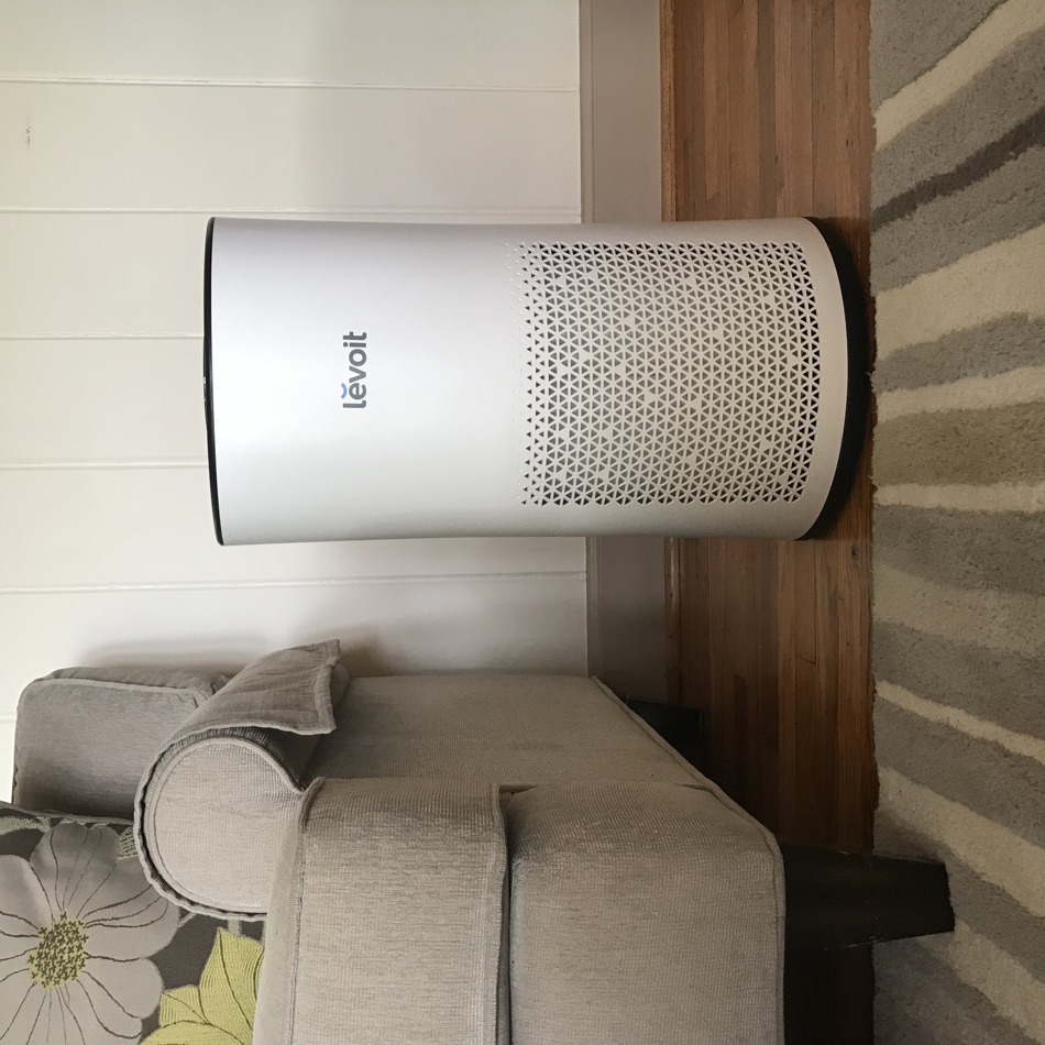 Air Purifier Filter Schedules for Dusty Rooms and Pet Households