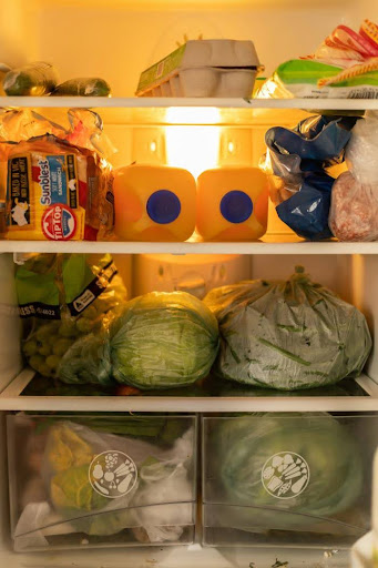How To Handle Mold in Your Fridge How To Handle Mold in Your Fridge