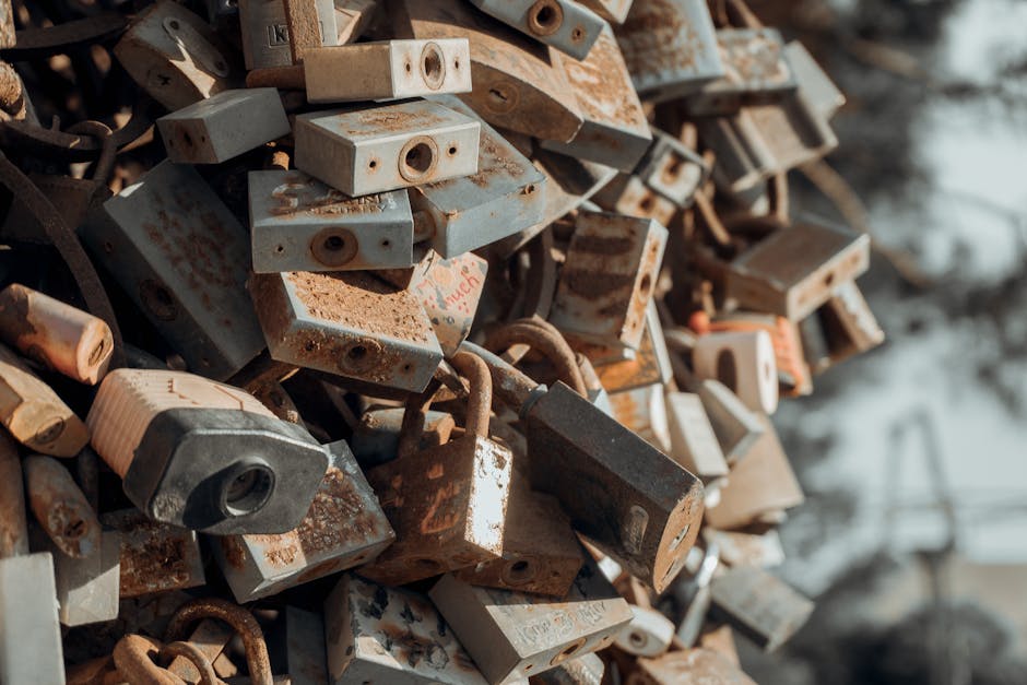 A close-up of numerous rusty padlocks clustered together outdoors, symbolizing security and abandonment.